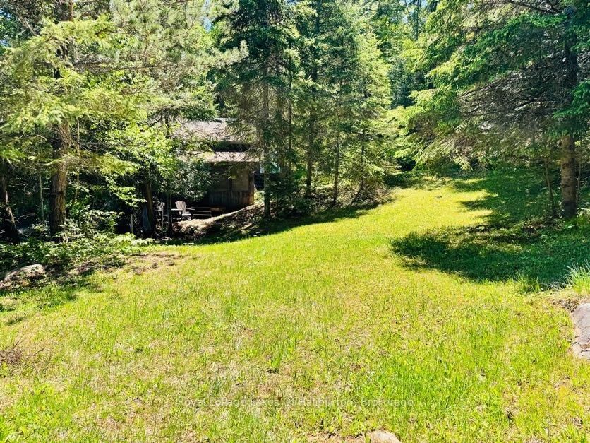 10573 Loon Lake WAO • Highlands East, ON photo 22