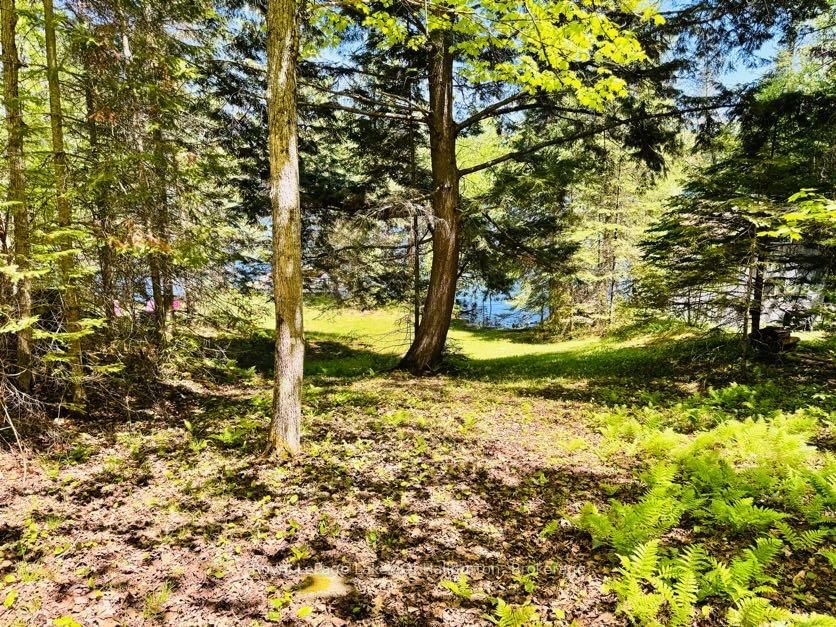 10573 Loon Lake WAO • Highlands East, ON photo 24