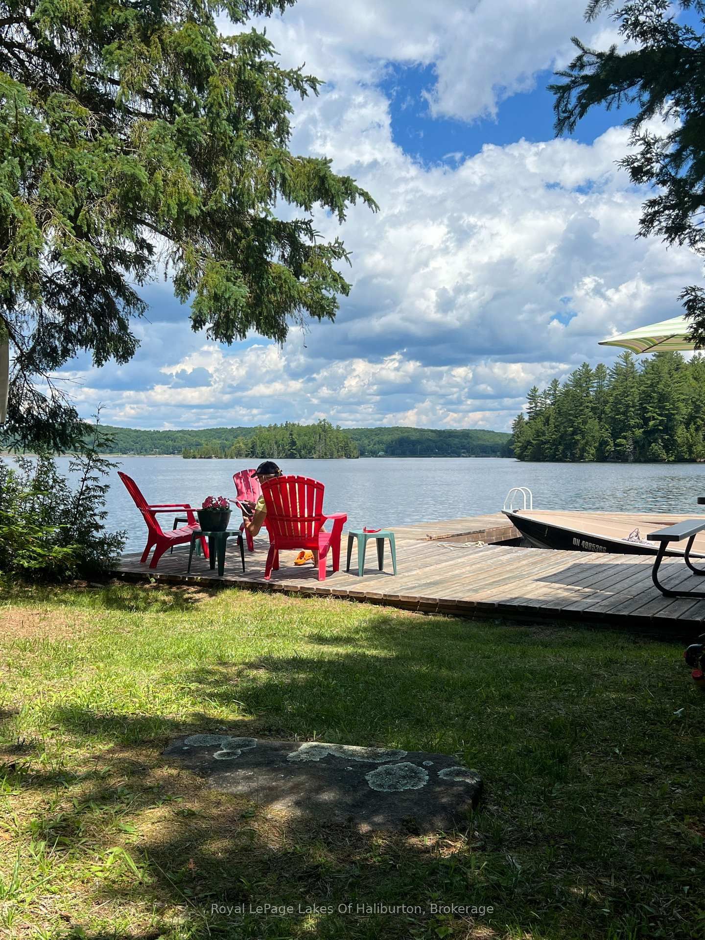 10573 Loon Lake WAO • Highlands East, ON photo 3