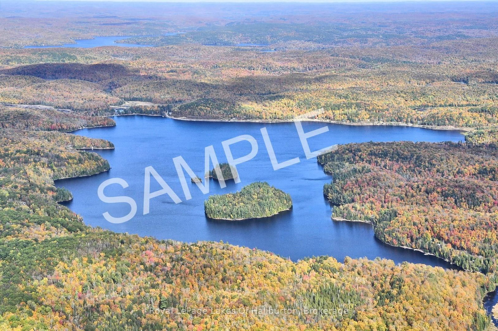 10573 Loon Lake WAO • Highlands East, ON photo 43
