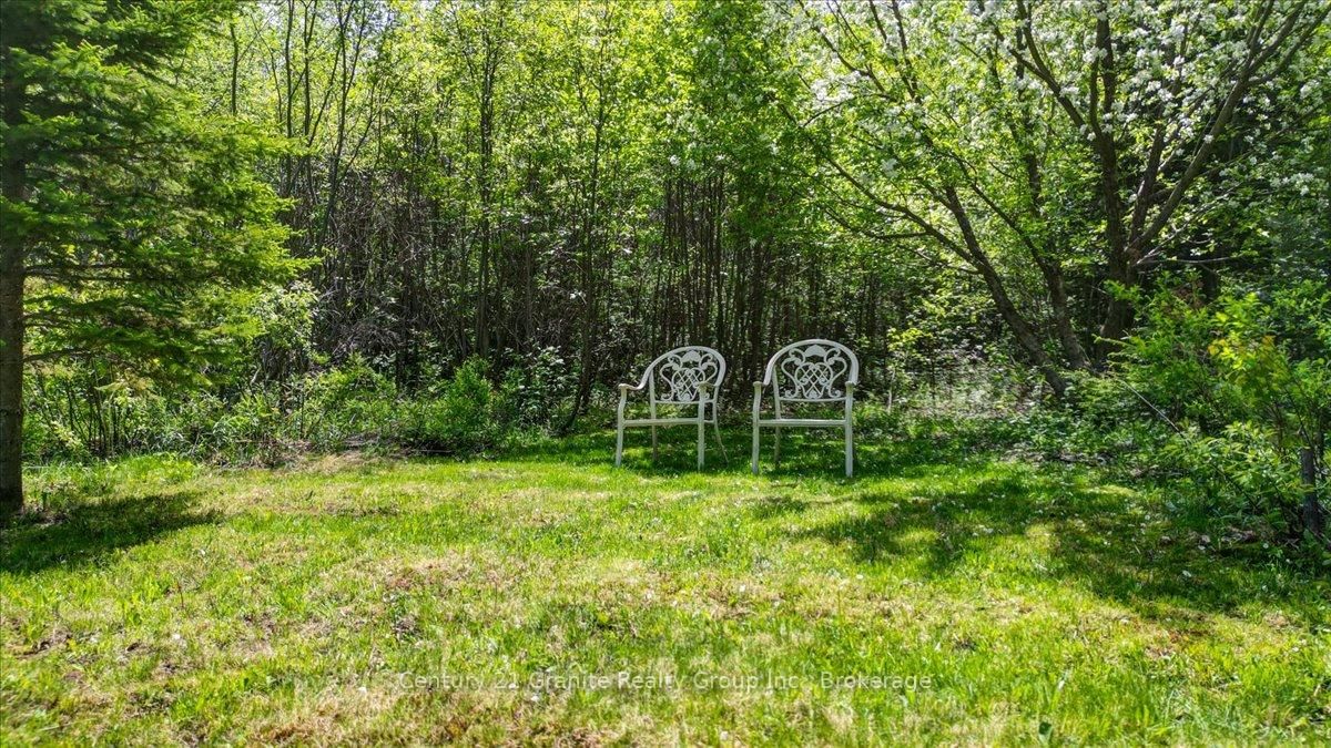 33740 Hwy 62 Highway • Maynooth, ON photo 39