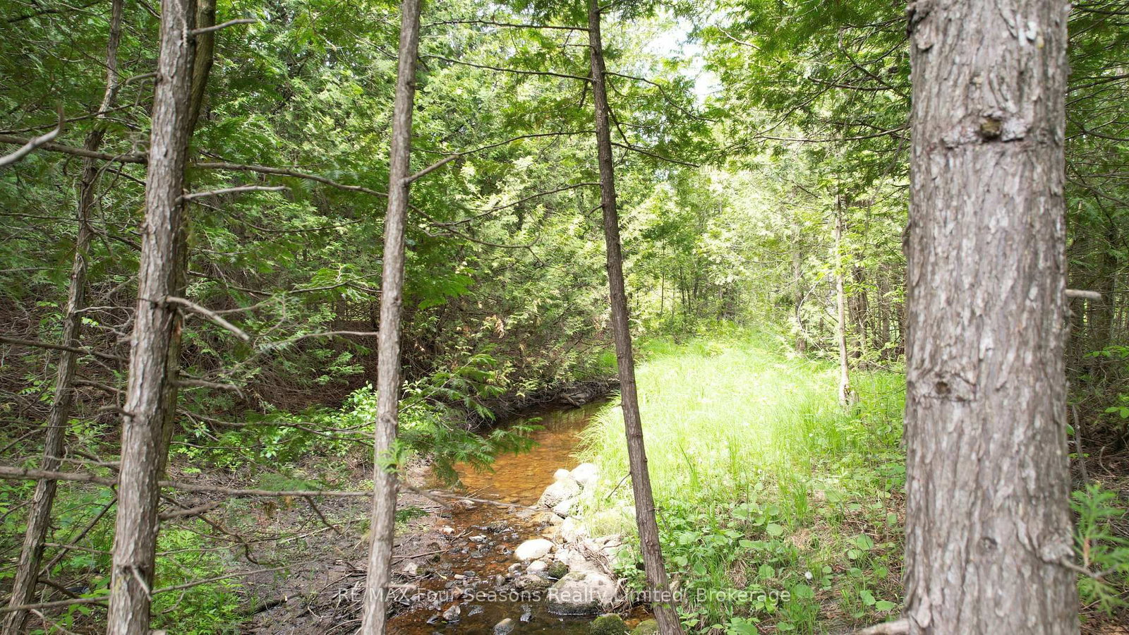 194543 Sideroad 30NDR Side Road N • West Grey, ON photo 11