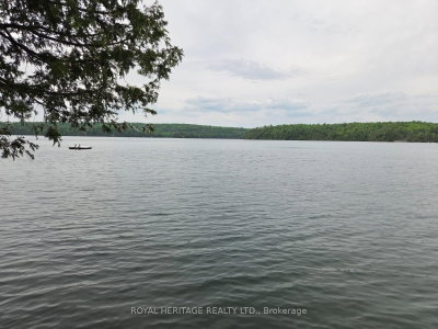 1160 Sunset Strip Lane • Ompah, ON photo 3