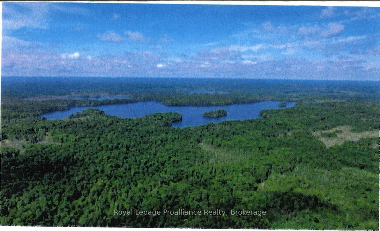 0 North Steenburg Lake Road • Coe Hill, ON photo 1