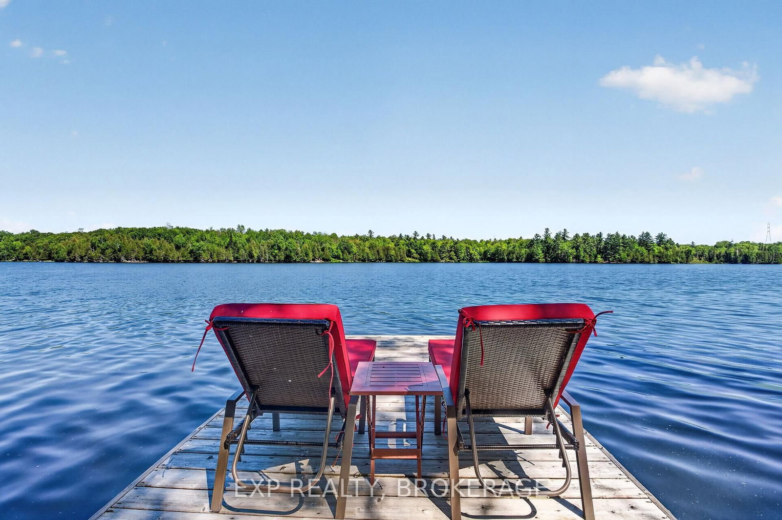 1210 RICHARD BRANNIGAN Trail • Godfrey, ON photo 39