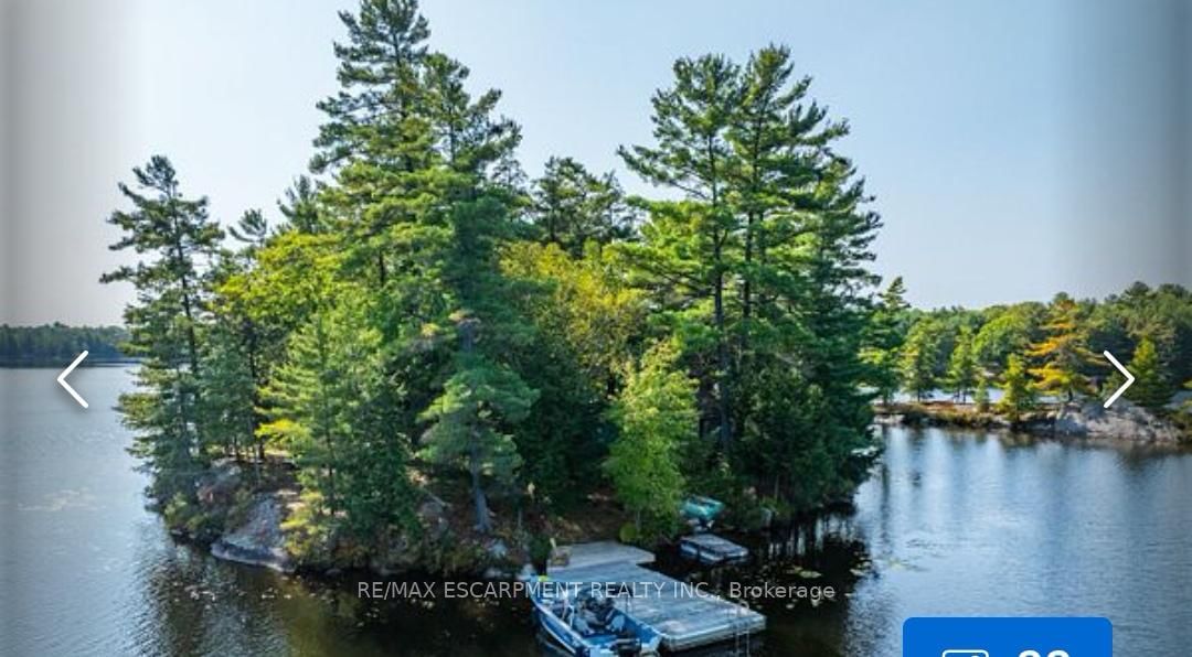 431 Healey Lake Water • The Archipelago, ON photo 3