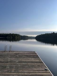 431 Healey Lake Water • The Archipelago, ON photo 6