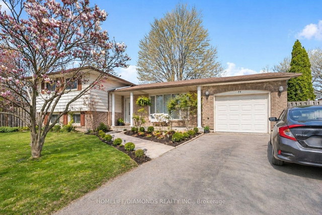 74 Macoomb Drive