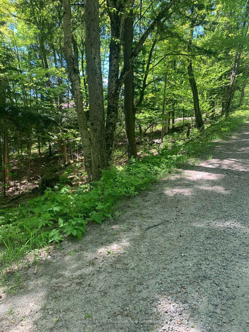 00 Wurm Road
