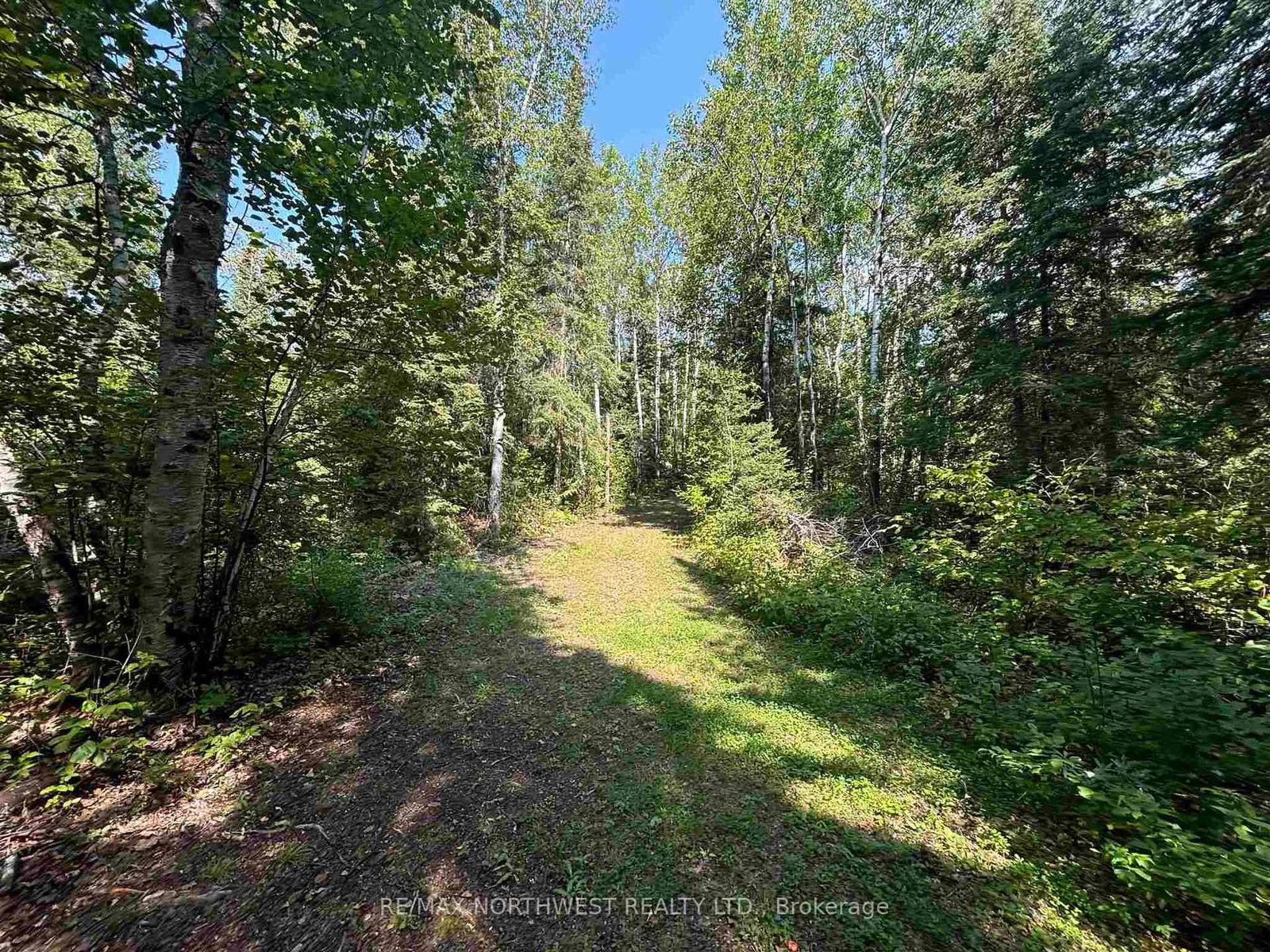 Lot 17,19,20 LAKE OF THE WOODS • Kenora Remote Area, ON photo 11