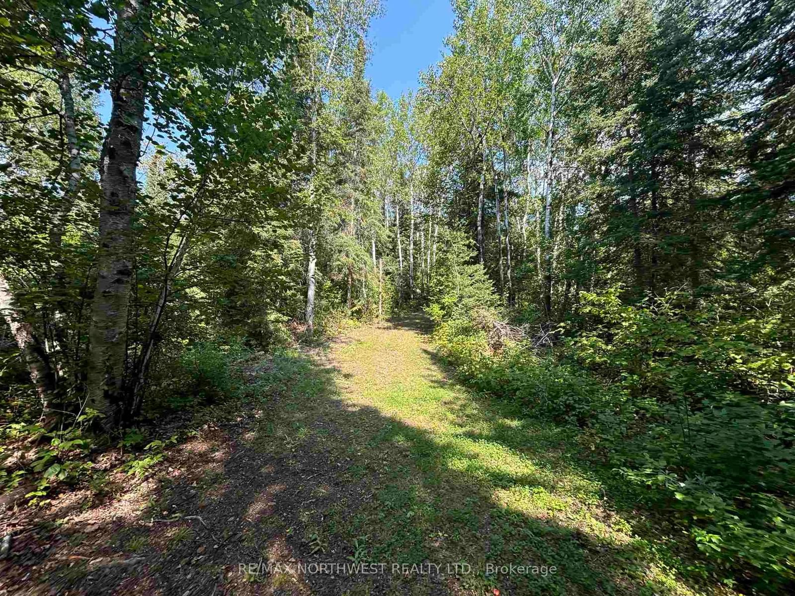 Lot 17,19,20 LAKE OF THE WOODS • Kenora Remote Area, ON photo 12