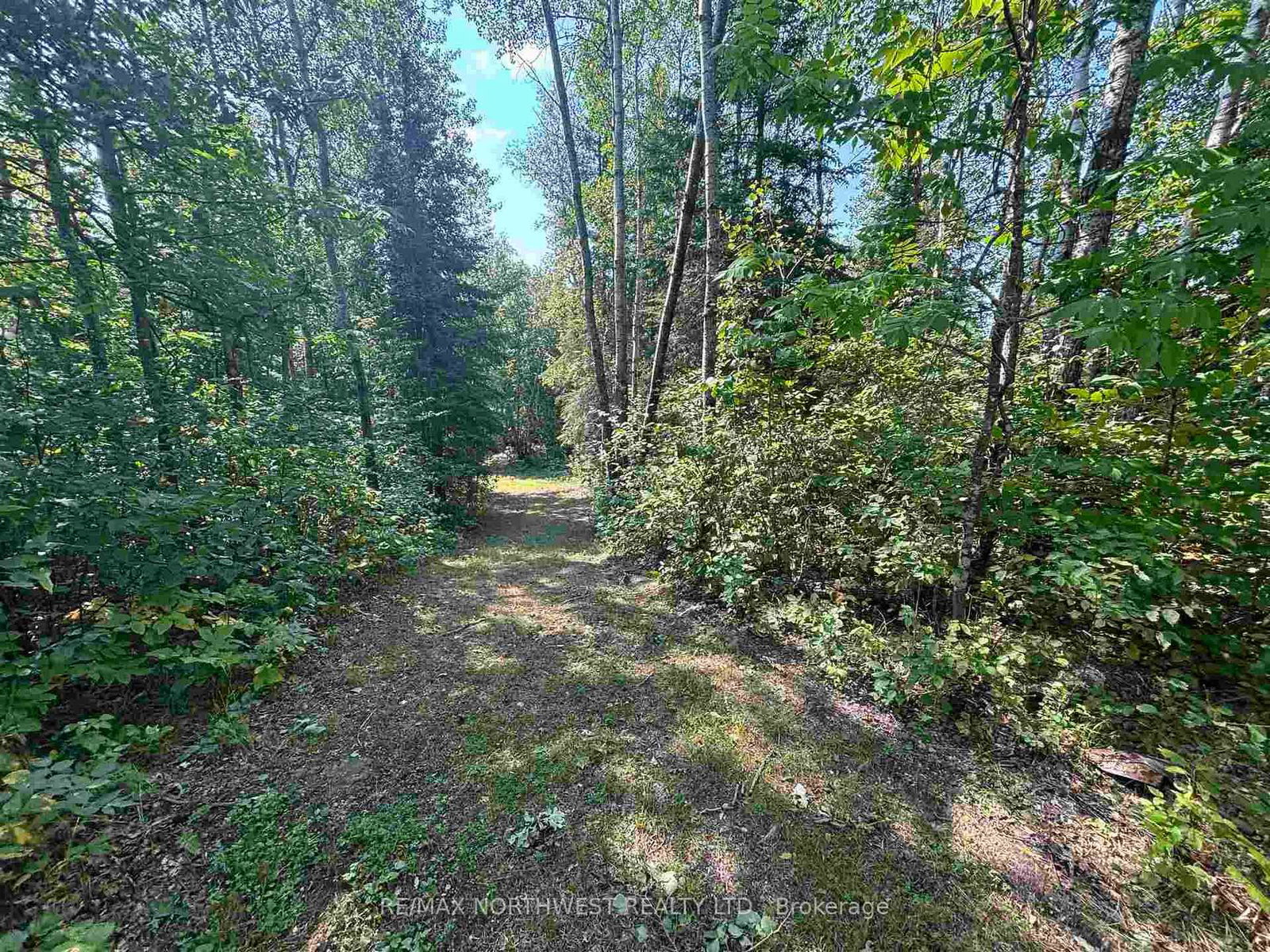 Lot 17,19,20 LAKE OF THE WOODS • Kenora Remote Area, ON photo 13