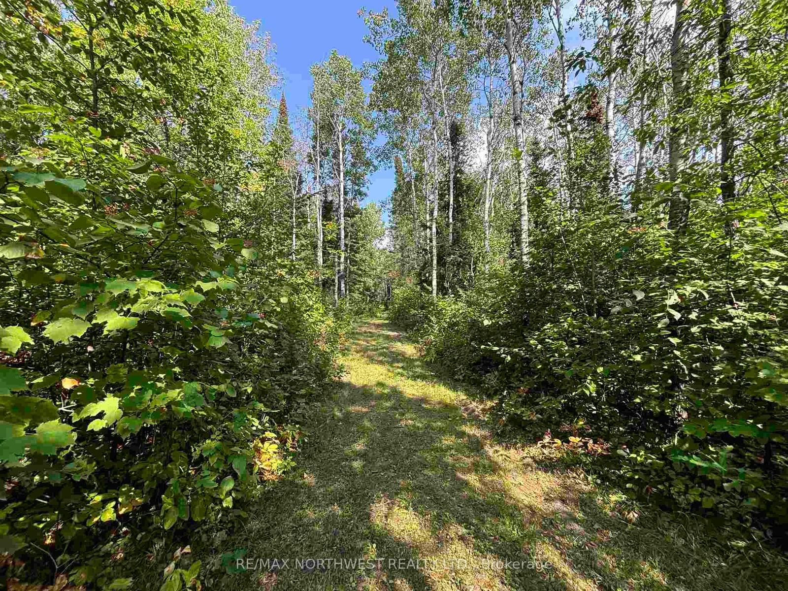 Lot 17,19,20 LAKE OF THE WOODS • Kenora Remote Area, ON photo 16
