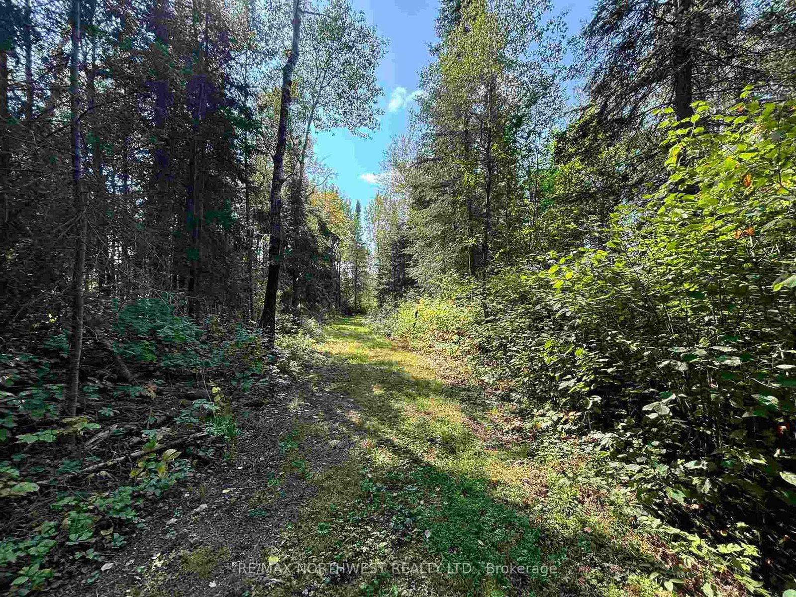 Lot 17,19,20 LAKE OF THE WOODS • Kenora Remote Area, ON photo 18