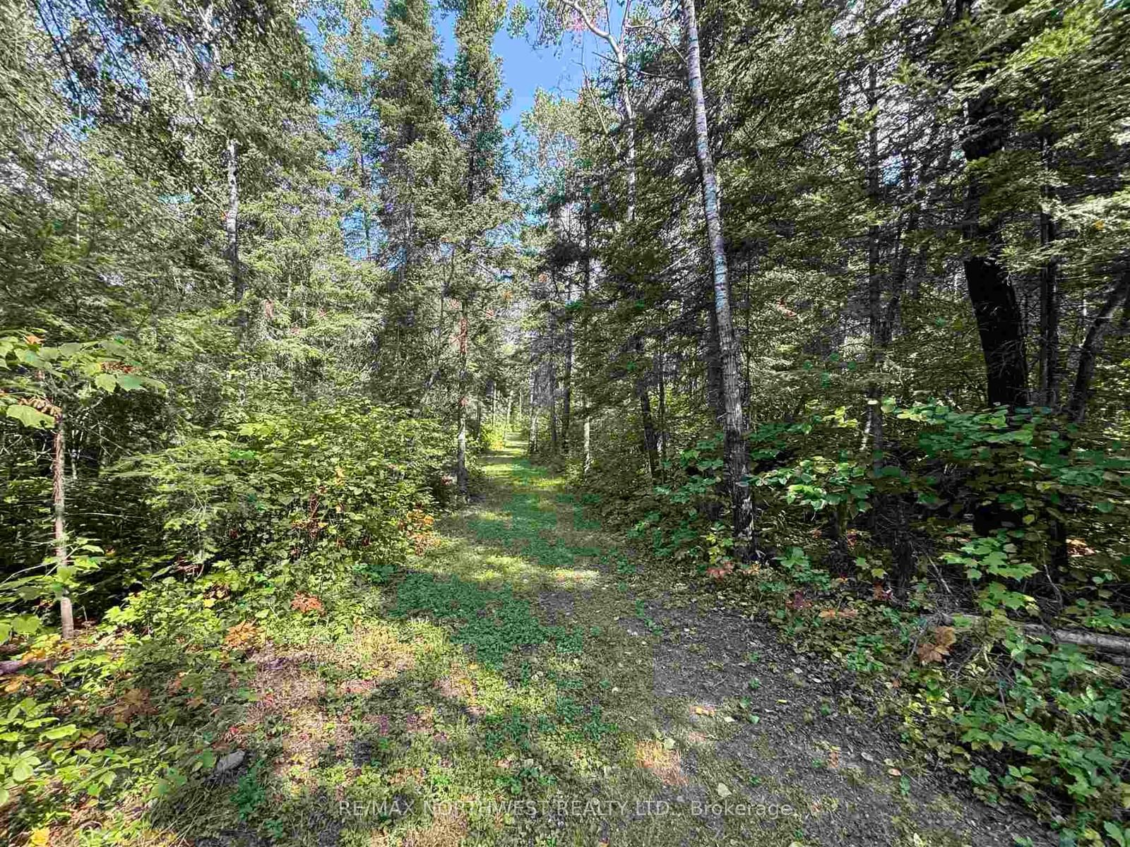 Lot 17,19,20 LAKE OF THE WOODS • Kenora Remote Area, ON photo 19
