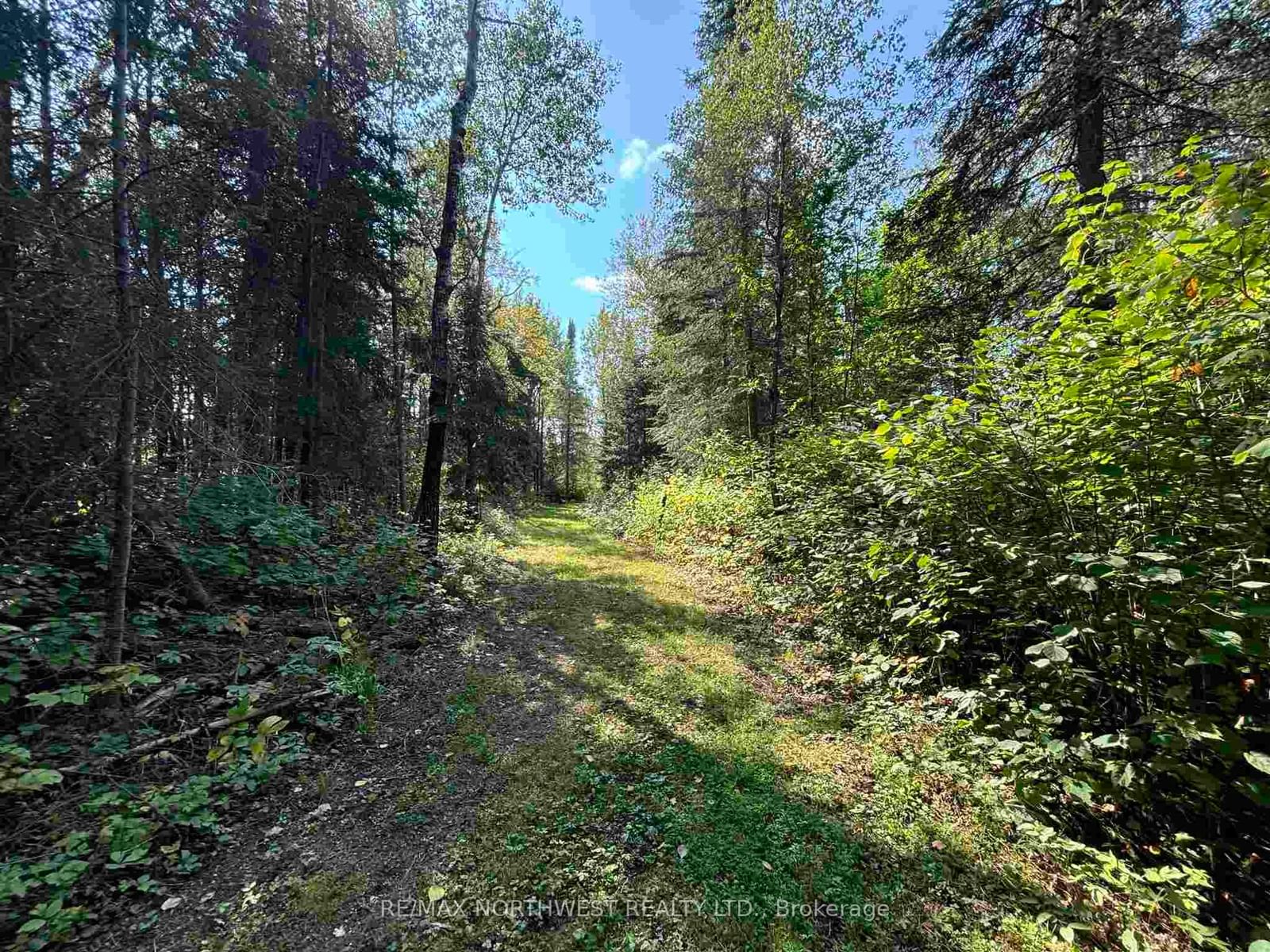 Lot 17,19,20 LAKE OF THE WOODS • Kenora Remote Area, ON photo 21