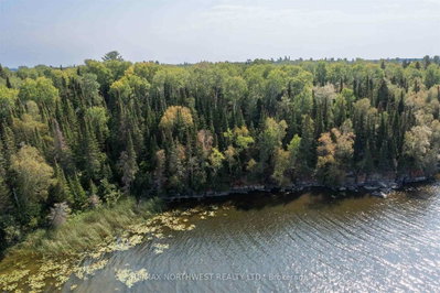 Lot 17,19,20 LAKE OF THE WOODS • Kenora Remote Area, ON photo 8