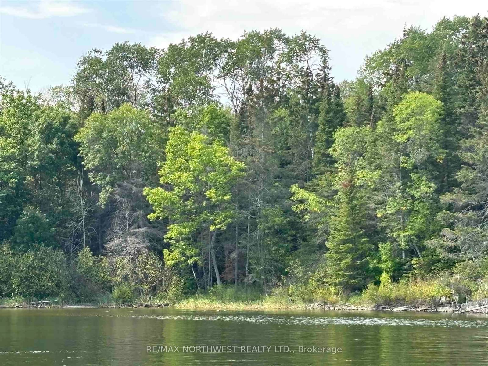 Lot 17,19,20 LAKE OF THE WOODS • Kenora Remote Area, ON photo 9