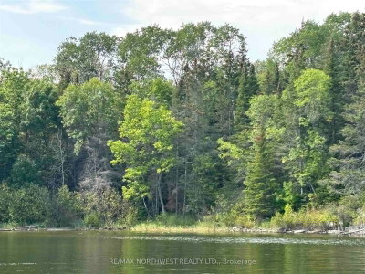 Lot 17,19,20 LAKE OF THE WOODS • Kenora Remote Area, ON photo 9