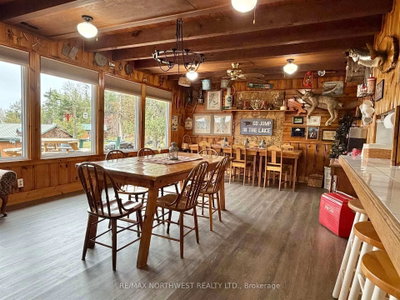 D550 Dam Road • Rainy River Remote Area, ON photo 9