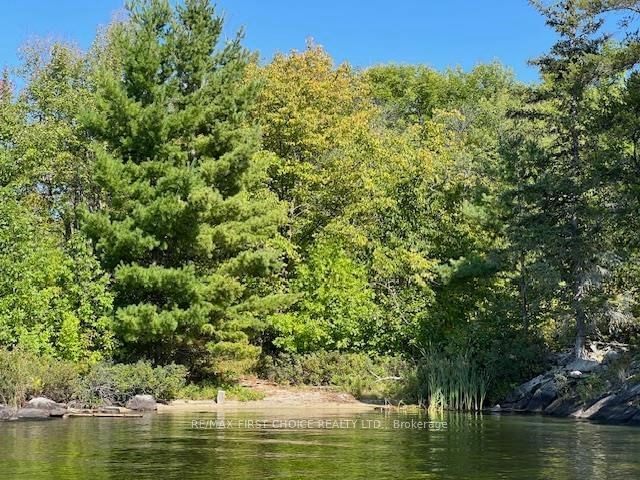 G 734 Rainy Lake • Rainy River Remote Area, ON photo 23