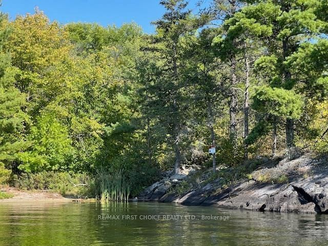 G 734 Rainy Lake • Rainy River Remote Area, ON photo 25