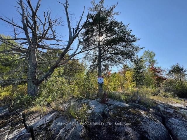 G 734 Rainy Lake • Rainy River Remote Area, ON photo 40