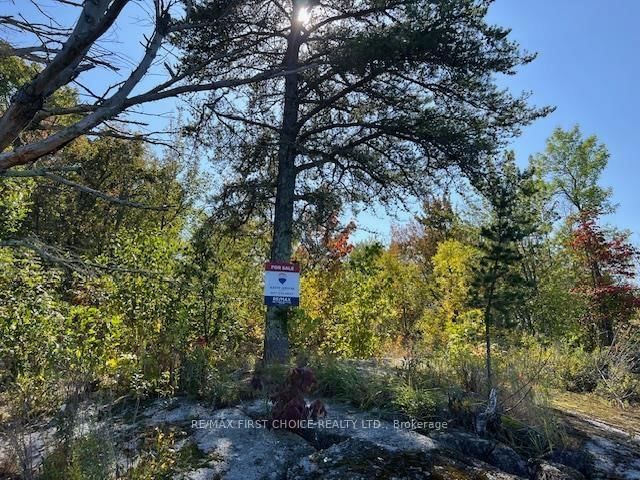 G 734 Rainy Lake • Rainy River Remote Area, ON photo 48