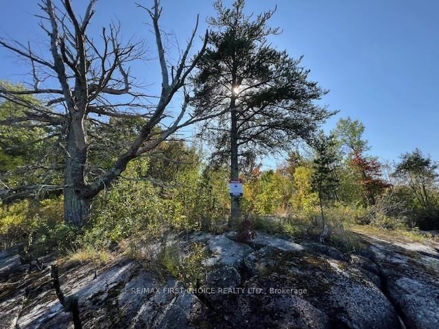 G 734 Rainy Lake • Rainy River Remote Area, ON photo 51