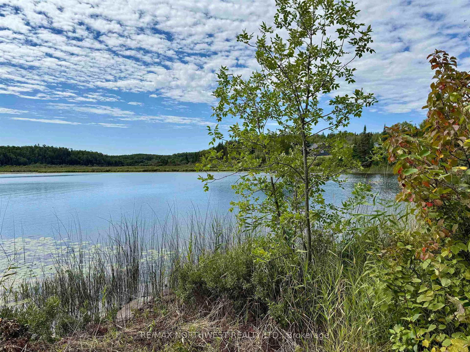 3 Battigelli Drive • Kenora, ON photo 20