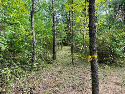 3 Battigelli Drive • Kenora, ON photo 8