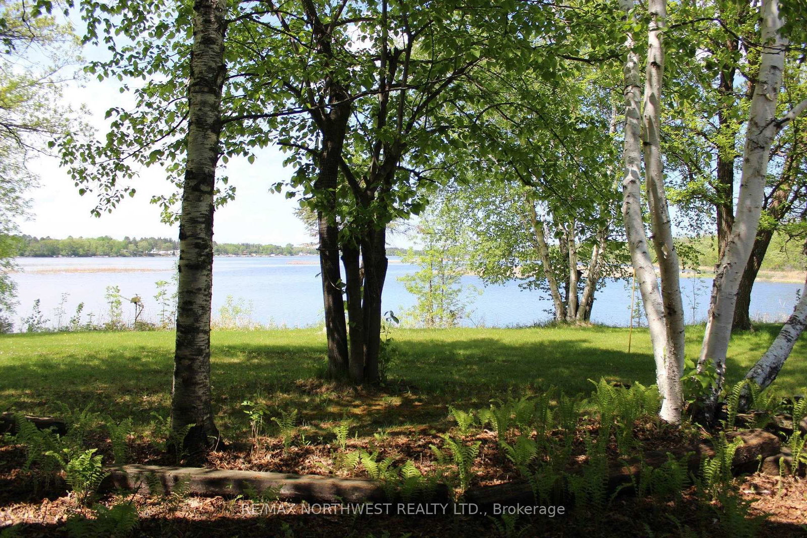 85 JENKINS DR • Dawson, ON photo 30