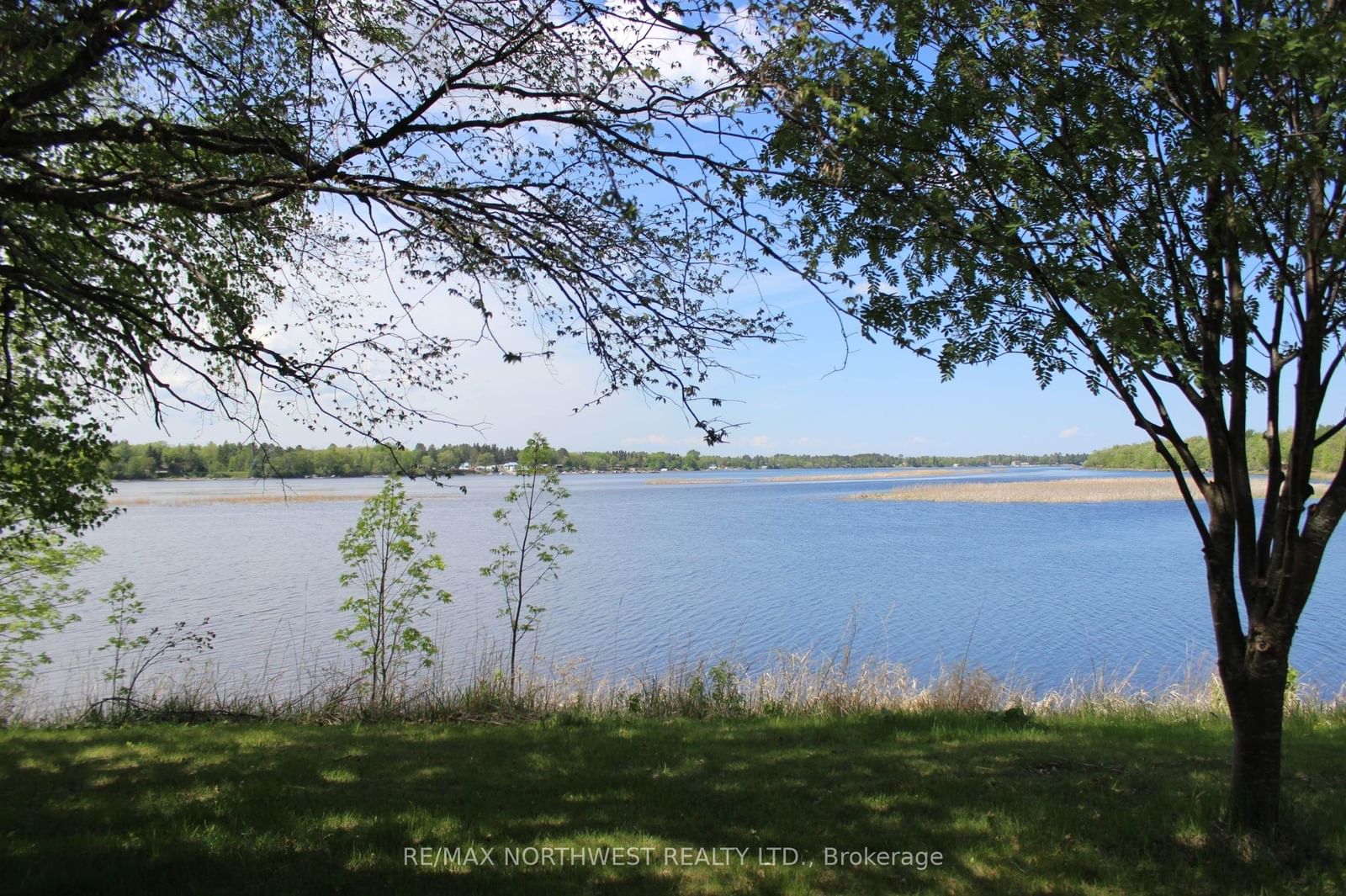 85 JENKINS DR • Dawson, ON photo 34