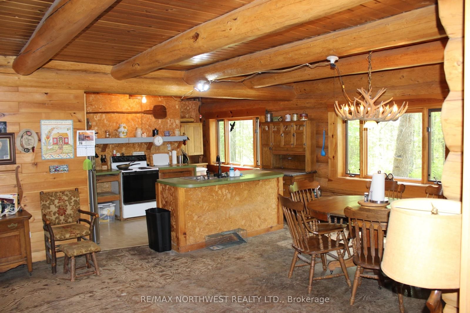 85 JENKINS DR • Dawson, ON photo 44