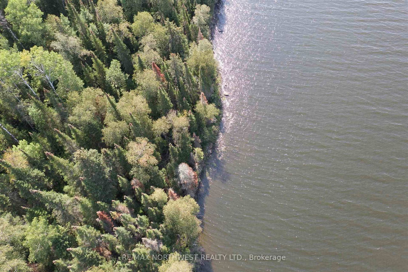 LOT 16 HANSENS BAY LAKE OF THE WOODS • Kenora Remote Area, ON photo 20