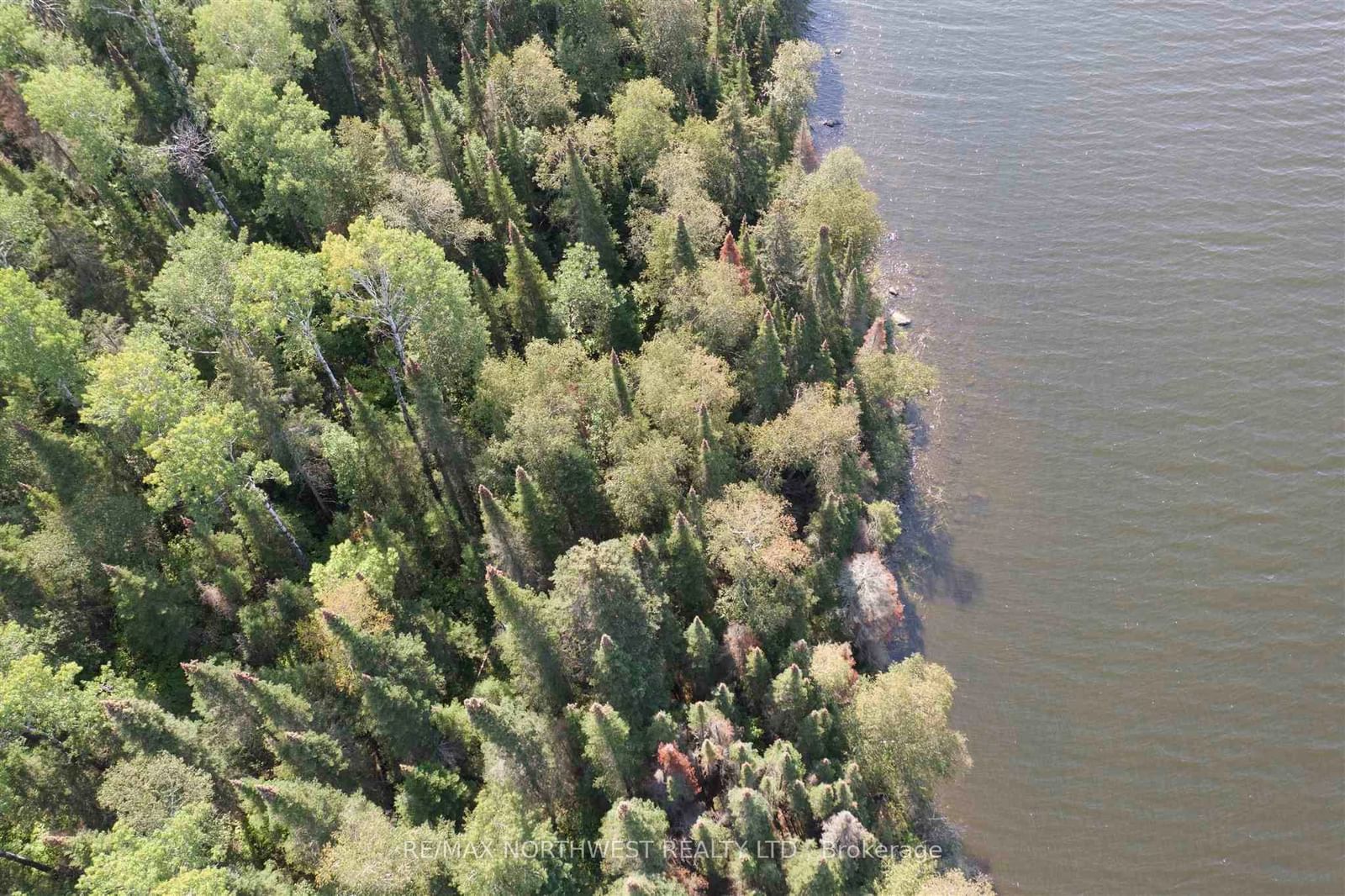 LOT 16 HANSENS BAY LAKE OF THE WOODS • Kenora Remote Area, ON photo 23