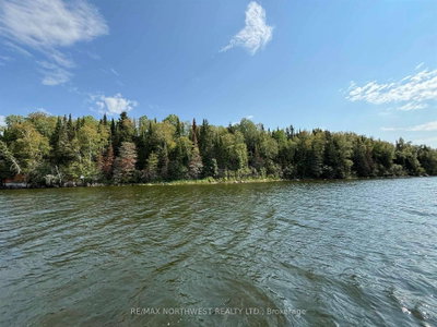 LOT 16 HANSENS BAY LAKE OF THE WOODS • Kenora Remote Area, ON photo 3