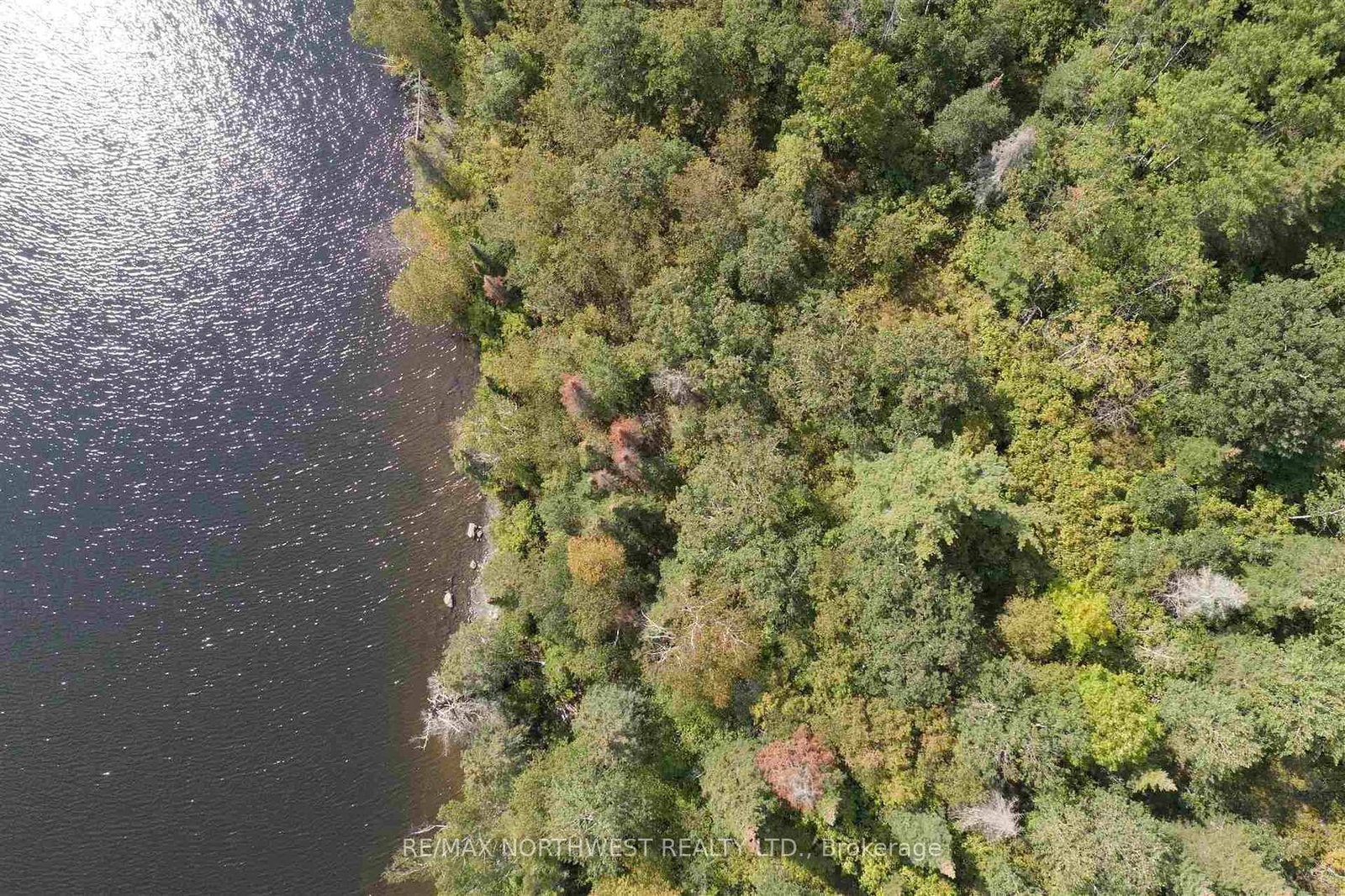 LOT 6 WELCOME CHANNEL LAKE OF THE WOODS • Kenora Remote Area, ON photo 15