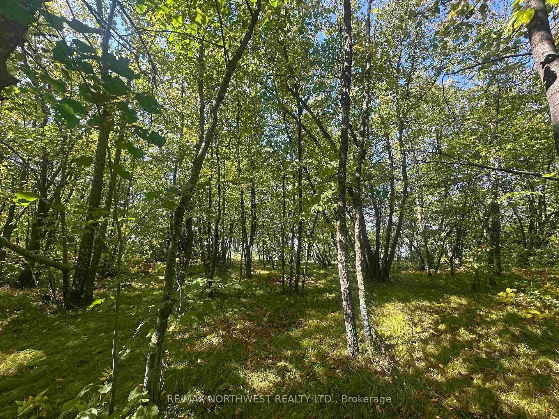 PTS 1,5,6 DORION ISLAND LAKE OF THE WOODS