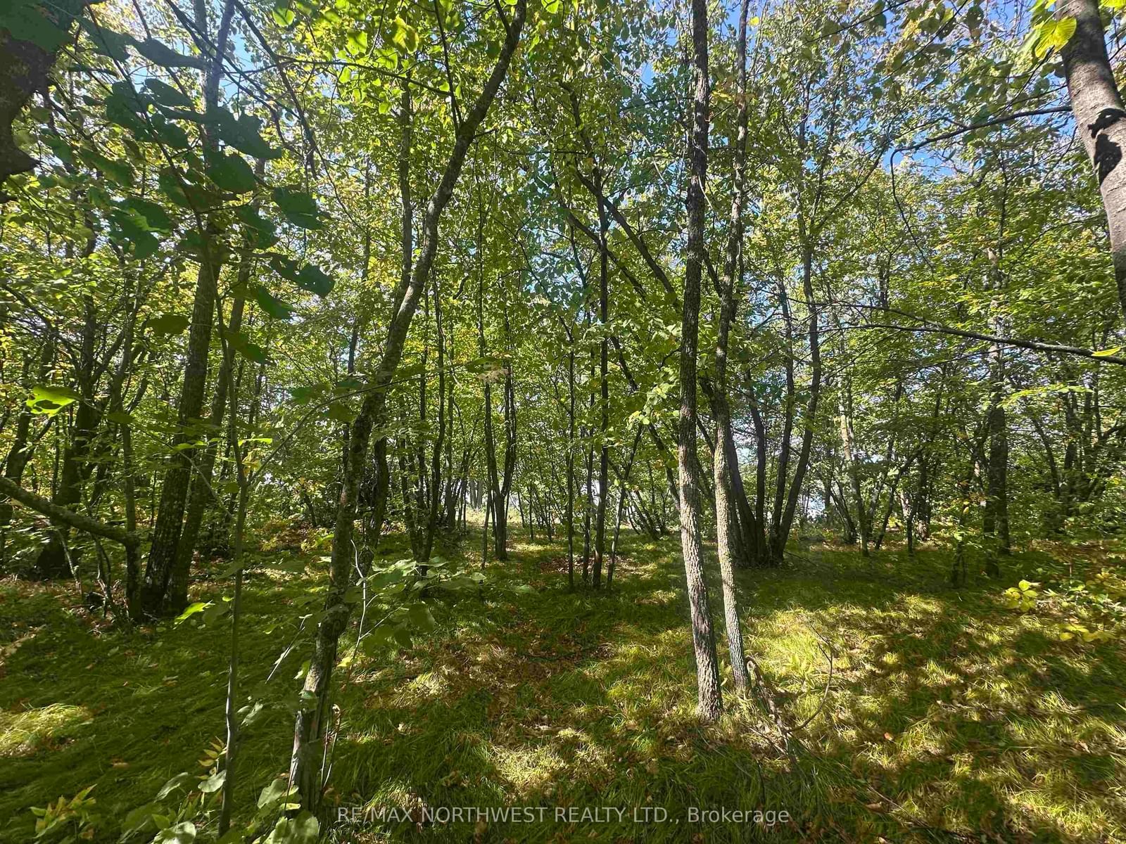 PTS 1,5,6 DORION ISLAND LAKE OF THE WOODS