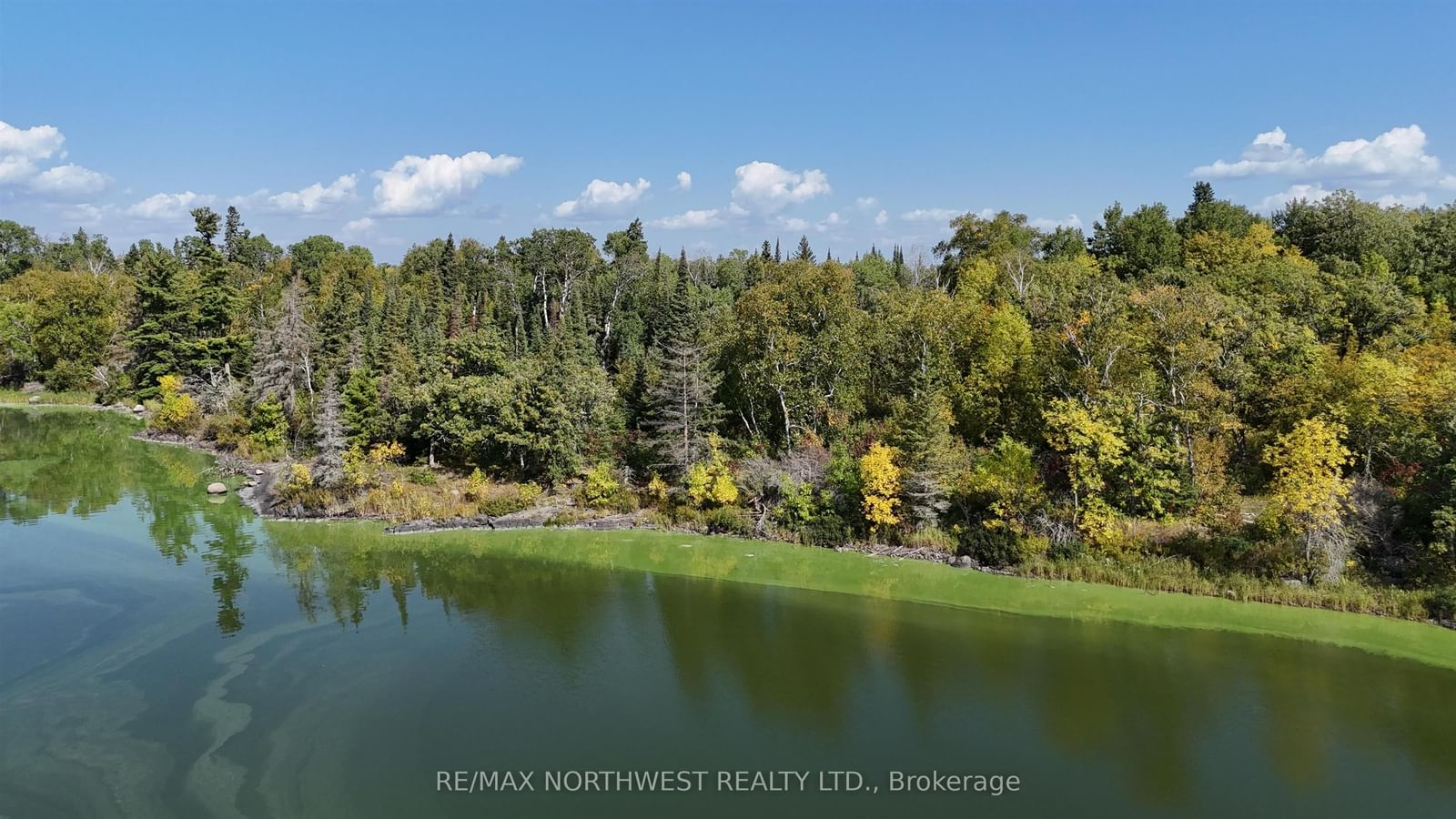 PTS 1,5,6 DORION ISLAND LAKE OF THE WOODS