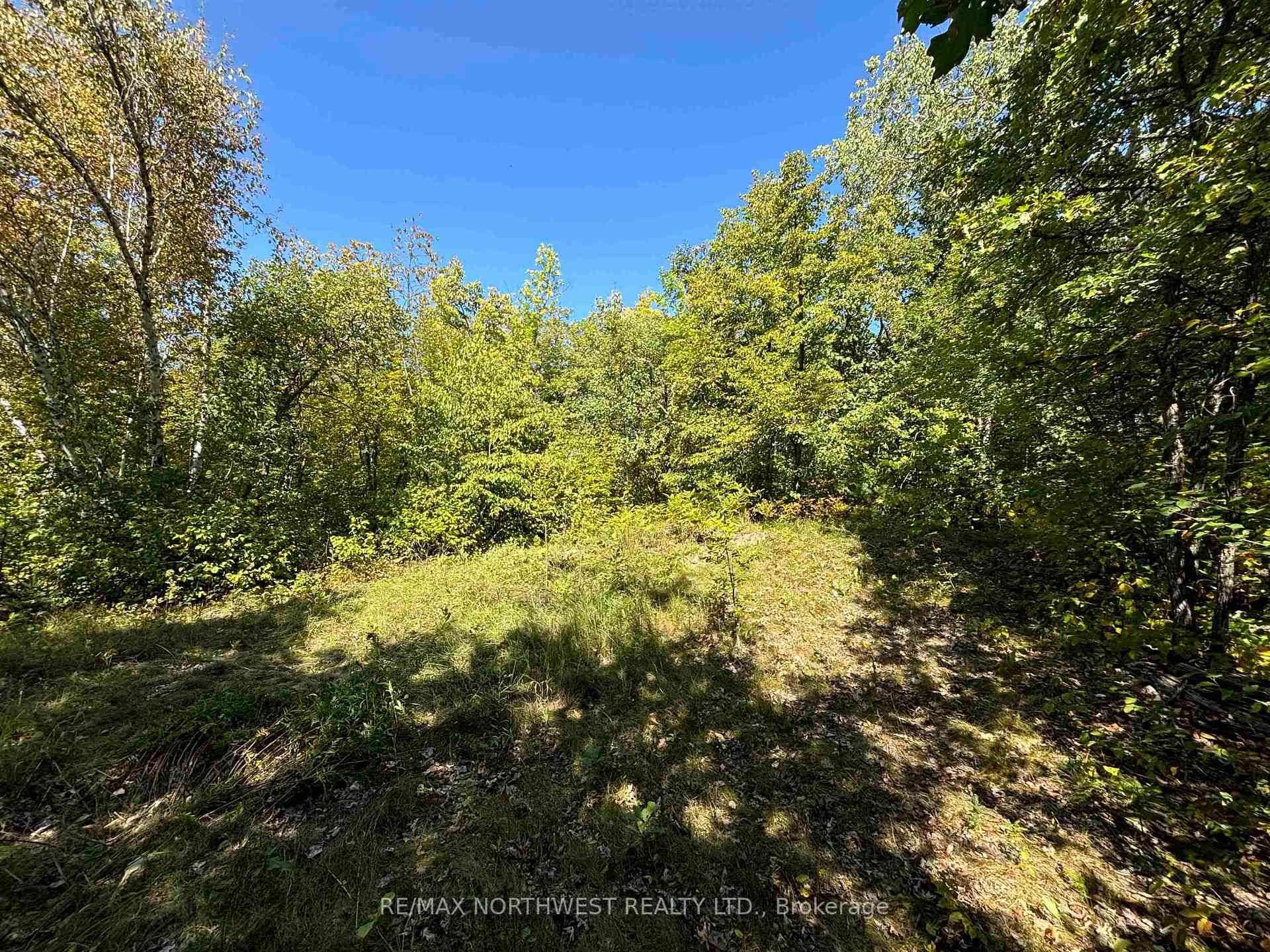 PTS 1,5,6 DORION ISLAND LAKE OF THE WOODS
