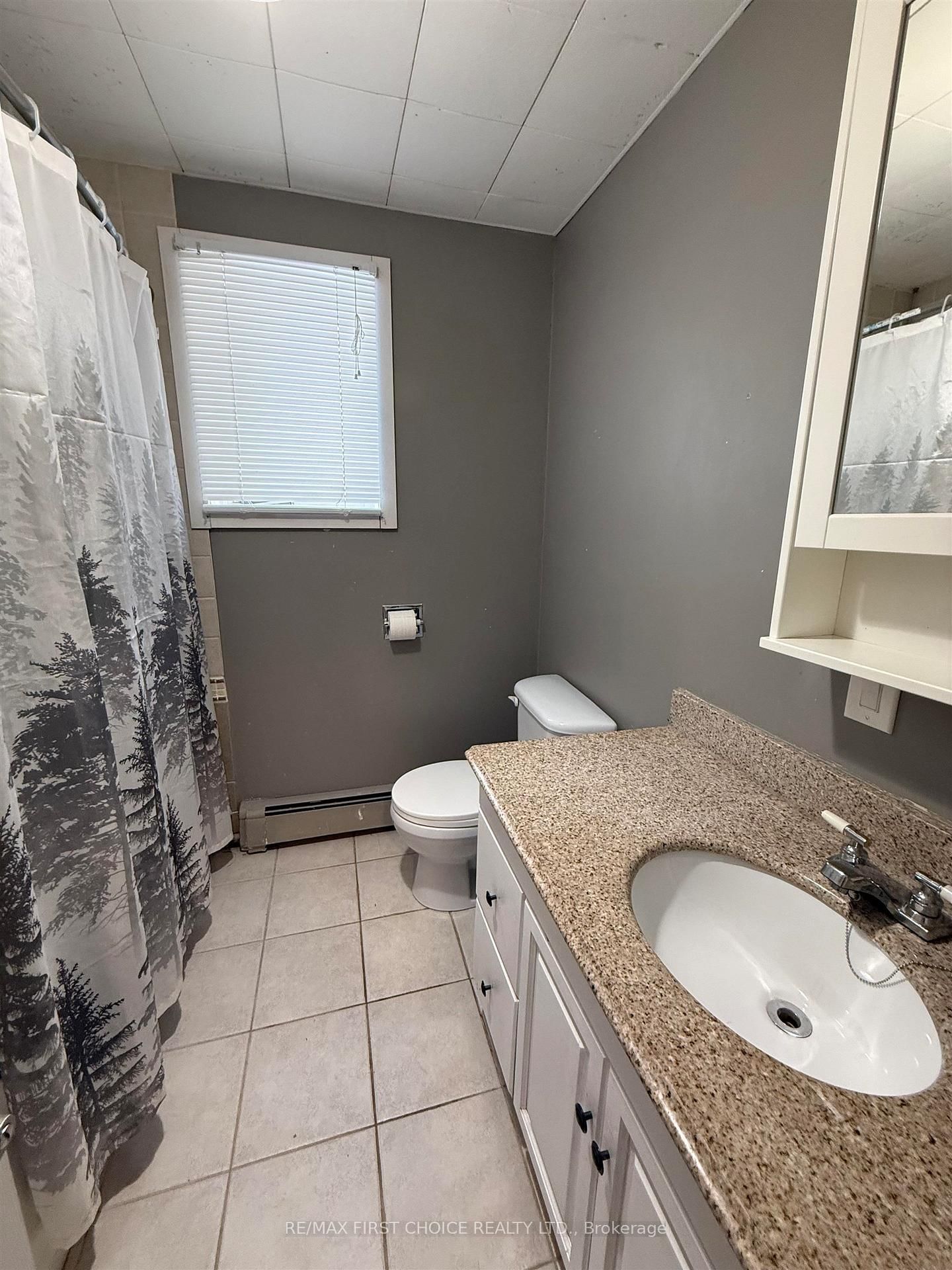 113 Cedar Crescent • Greenstone, ON photo 55