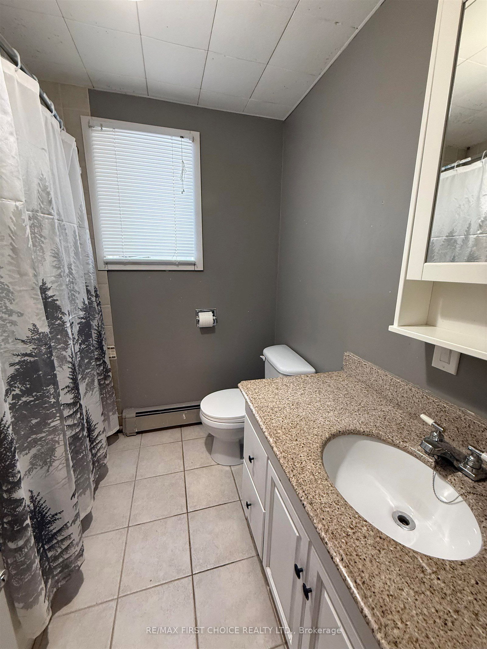 113 Cedar Crescent • Greenstone, ON photo 56