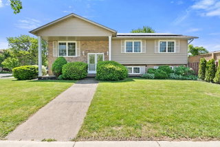83 Amberwood Street