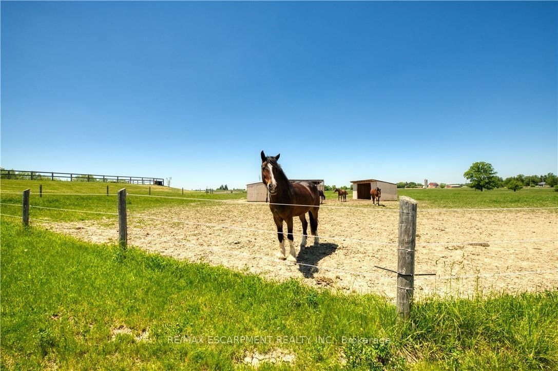 174 Painter Road • Brant, ON photo 25