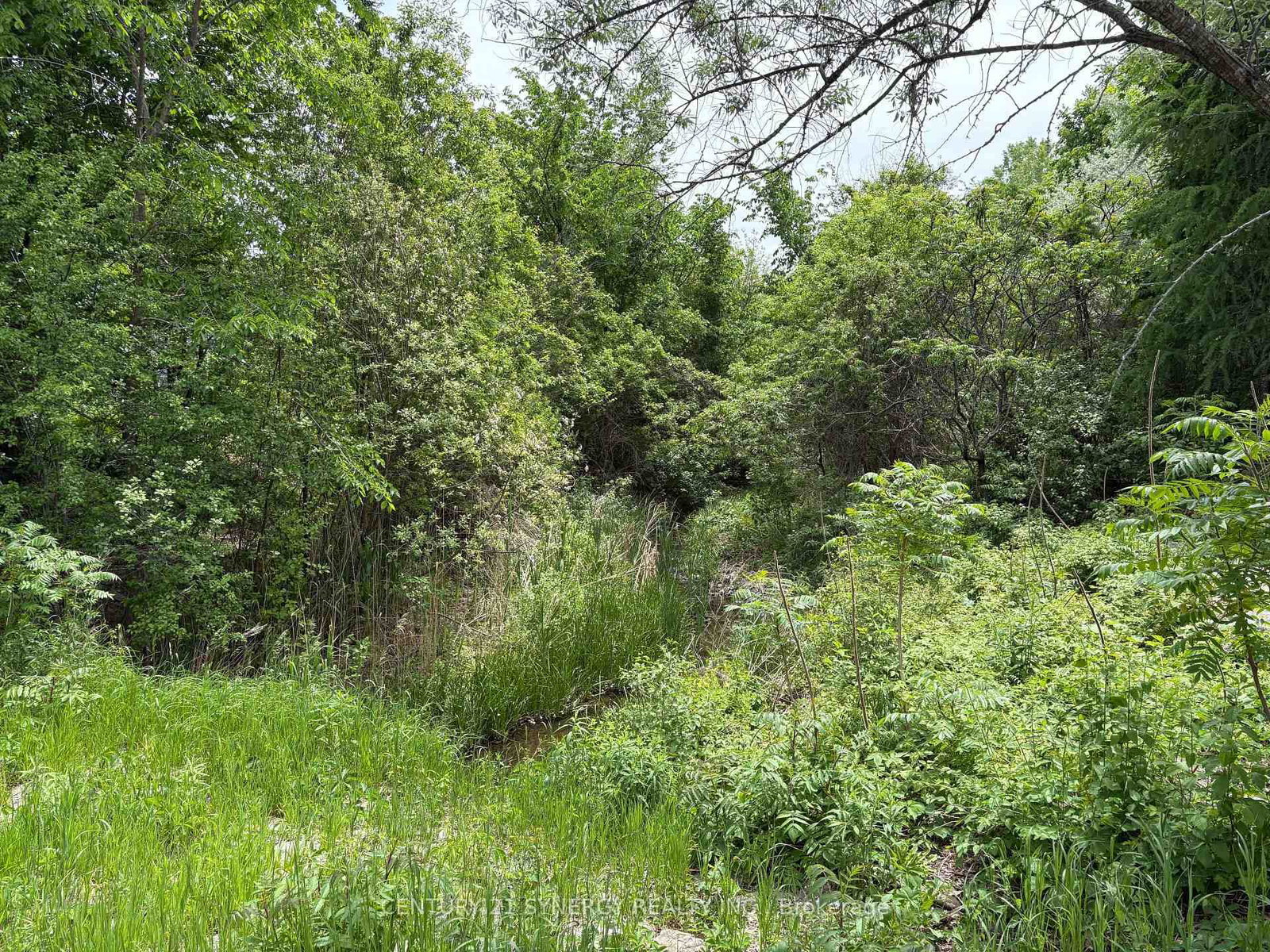 45 Turtle Point Private • Kanata, ON photo 40