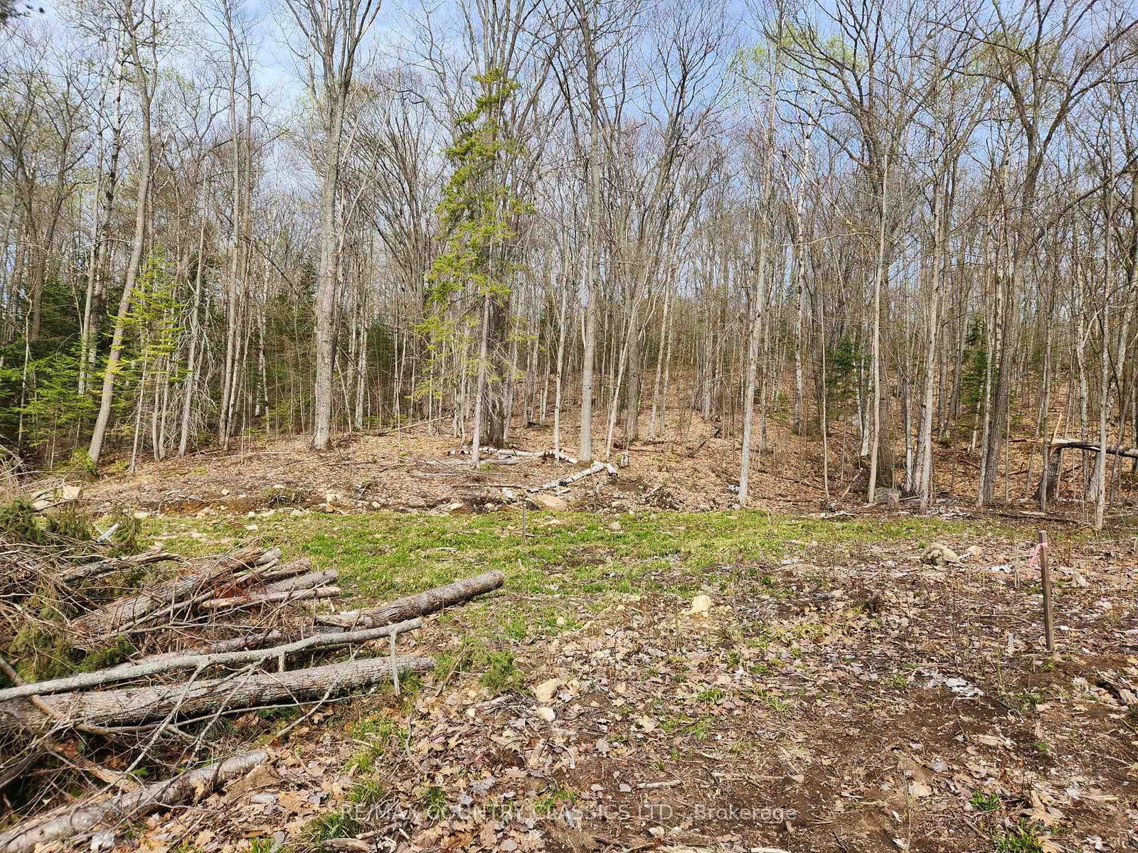 790 Mitchell Road • Barry's Bay, ON photo 10