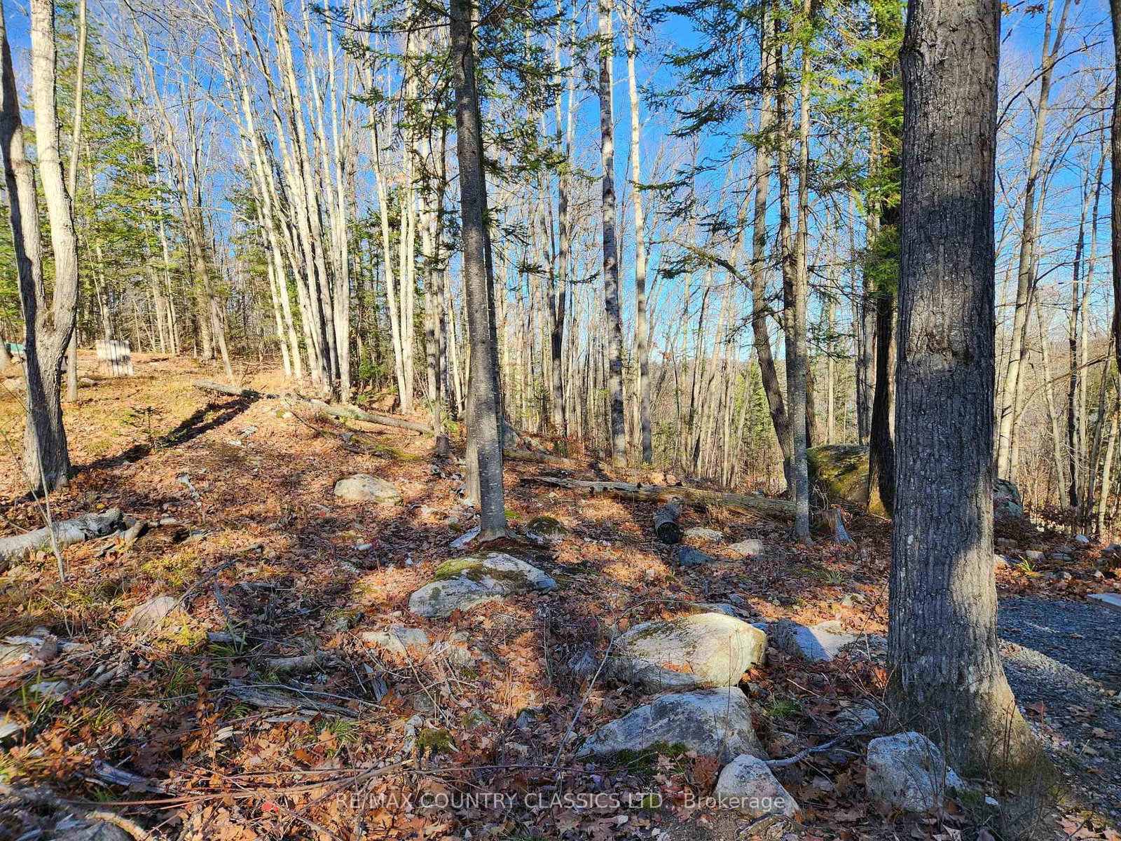 790 Mitchell Road • Barry's Bay, ON photo 11