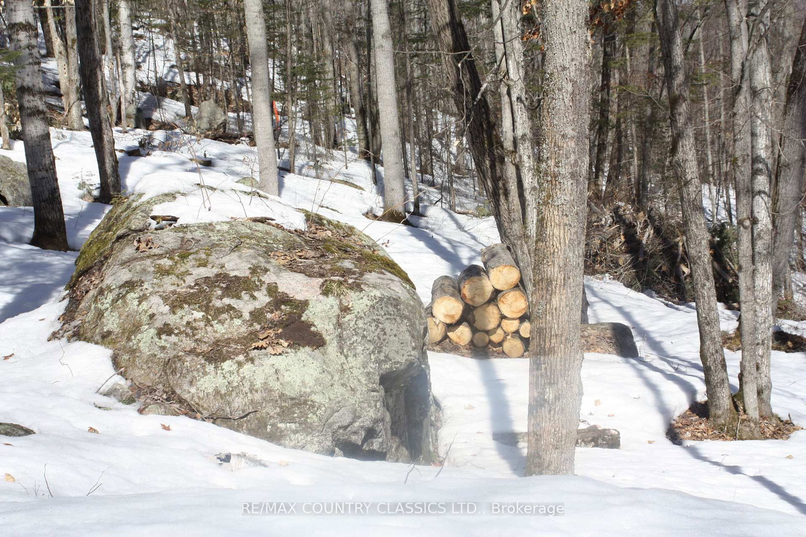 790 Mitchell Road • Barry's Bay, ON photo 12